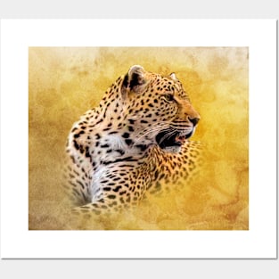 Leopard Posters and Art